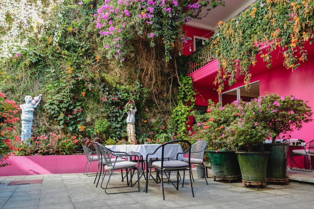 Casa De Las Bugambilias B&B Oaxaca Zewnętrze zdjęcie